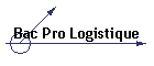 Bac Pro Logistique